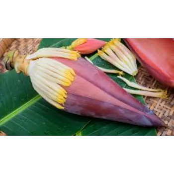 Best Banana Flower